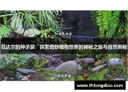 范达尔的种子袋:探索奇妙植物世界的神秘之旅与自然奥秘